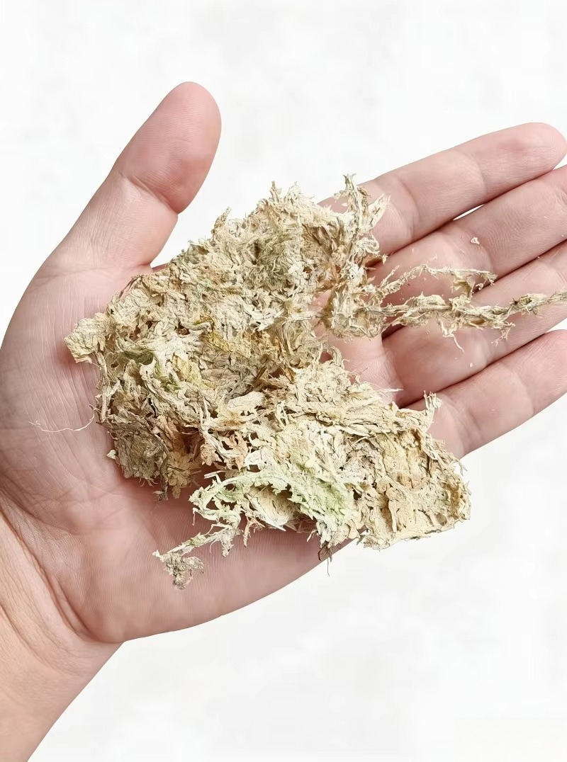 Sphagnum Moss Dry - طحلب السفاغنوم الفاخر للزهور الأوركيد، كتلة