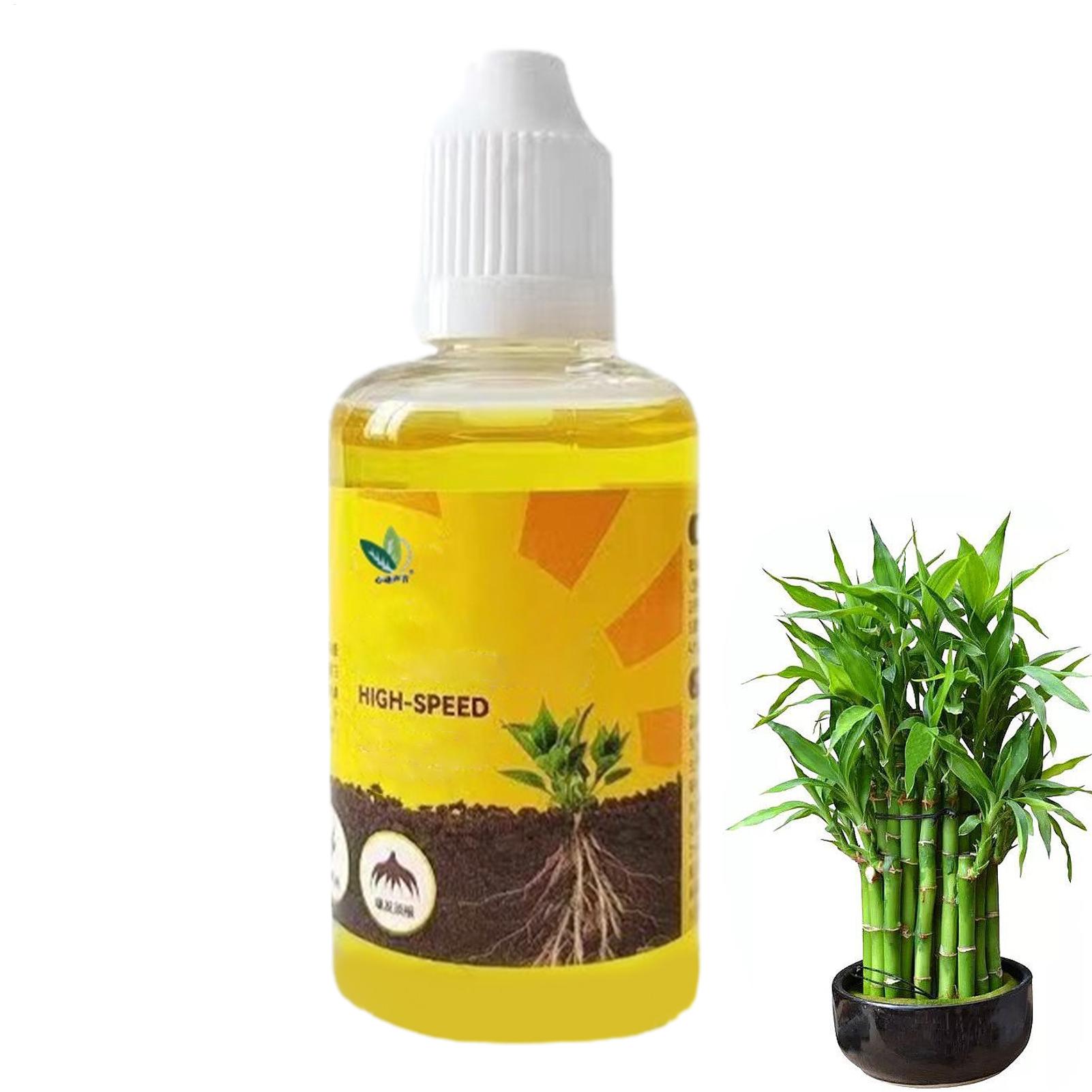 سائل محفز لنمو جذور النباتات،  - مراجعة Root Stimulator Liquid وسعره